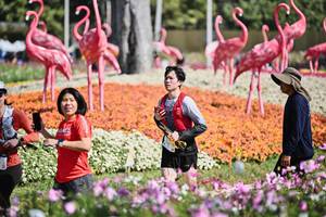 BIB: 
                            <button type="button" onclick="openModal(27793505)" class="btn btn-primary btn-sm float-right btn-popup" data-toggle="modal" data-target=".modal-high-quality">
                        <i class="fas fa-shopping-cart"></i> Add to Cart
                    </button>
                                            <button type="button" onclick="isThisMe(27793505, true)" class="btn btn-success btn-sm float-right btn-popup btn-isme hidden" data-toggle="tooltip" data-placement="bottom" title="นี่คือรูปของคุณใช่ไหม คลิกที่นี่เพื่อเอาเข้าอัลบั้ม">
                        <i class="fas fa-plus"></i> Add to album
                    </button>
                    <button type="button" onclick="isThisMe(27793505, false)" class="btn btn-warning btn-sm float-right btn-popup btn-isnotme hidden">
                        <i class="fas fa-ban"></i> Remove from album
                    </button>